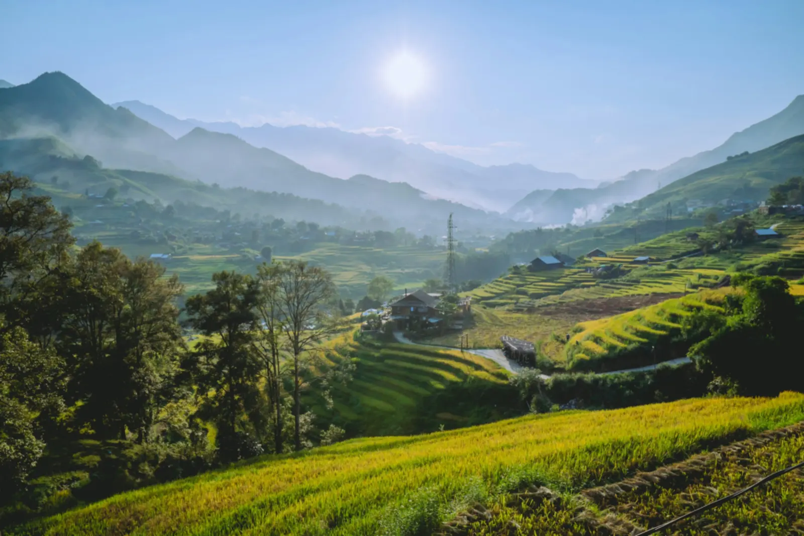 Sườn đồi cỏ xanh nhìn xuống thung lũng ruộng bậc thang trong nắng sớm