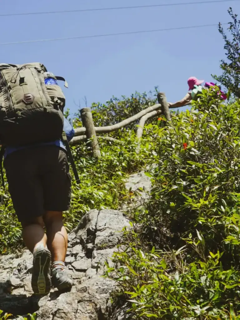 Người đeo ba lô đi trên lối mòn đá giữa bụi cây xanh, một chặng trekking Sa Pa